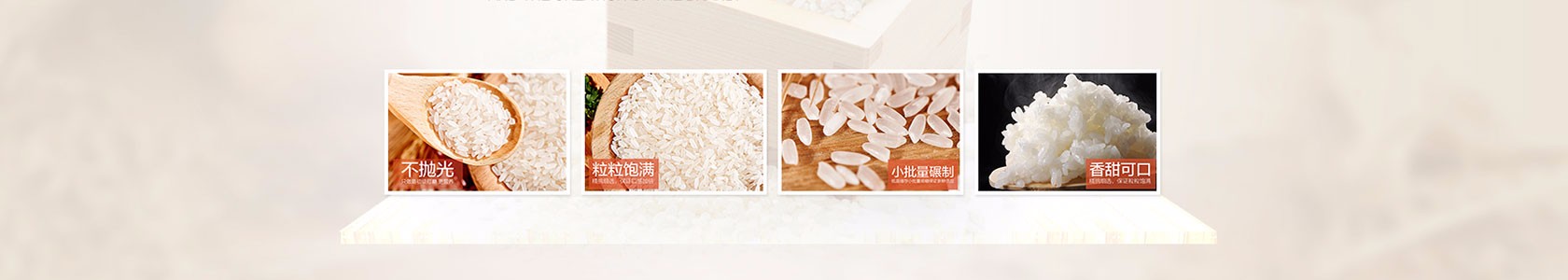 贵州某某信息技术制造厂